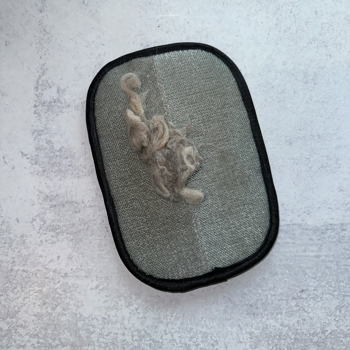 Pawz Brush (Single Brush) (Limited Edition - Only 100 Available)